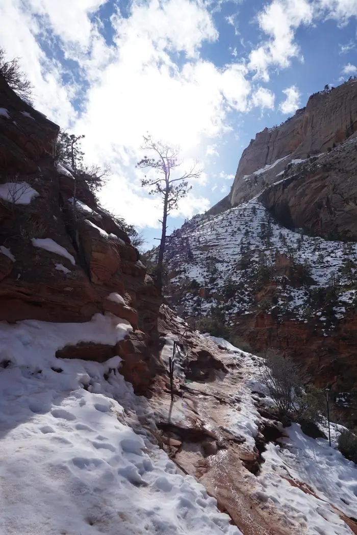 Angels Landing: Winter (Hikes on December 1 - February 28) photo 4