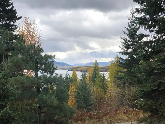 ANNA CREEK CABIN photo 2