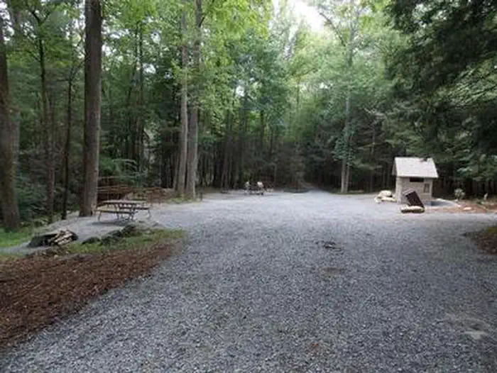 ANTHONY CREEK HORSE CAMP photo 3
