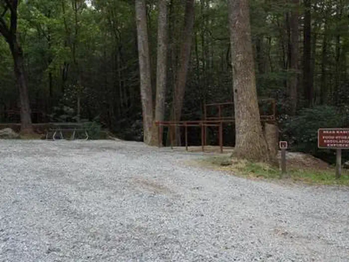 ANTHONY CREEK HORSE CAMP photo 5