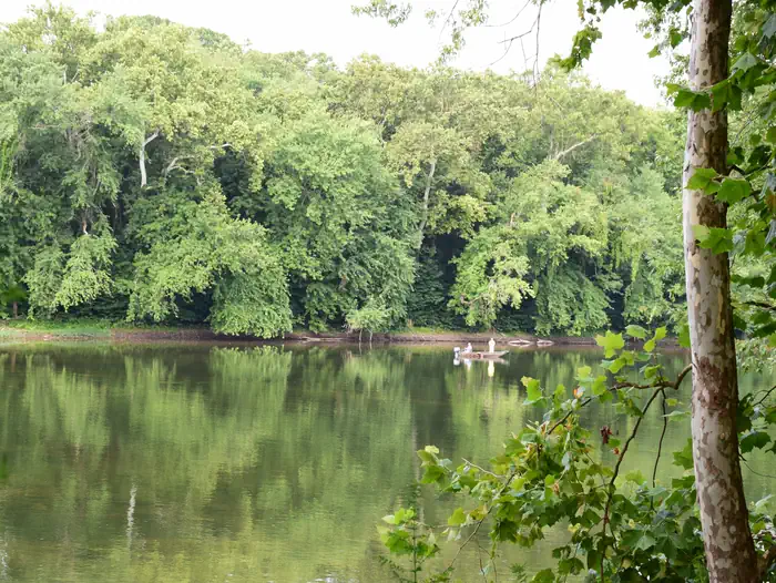 Antietam Creek Campsite photo 4