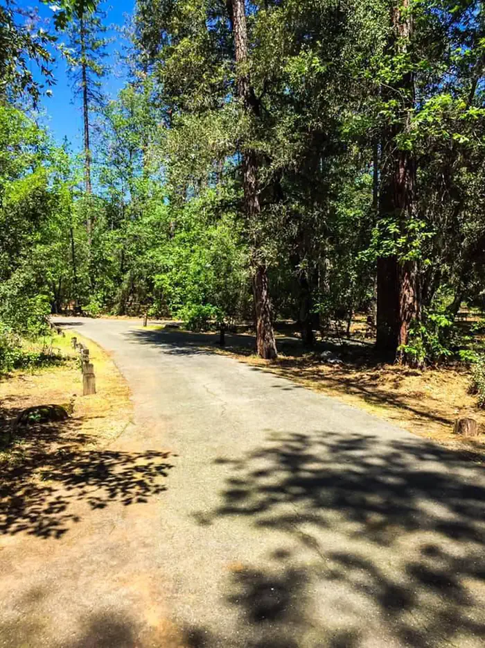 Antlers (Shasta Lake, CA) photo 4