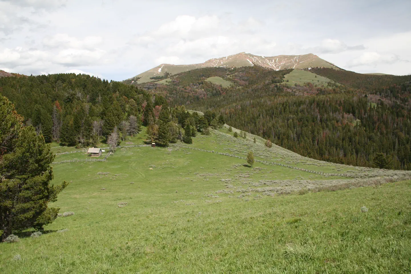 ANTONE CABIN photo 2