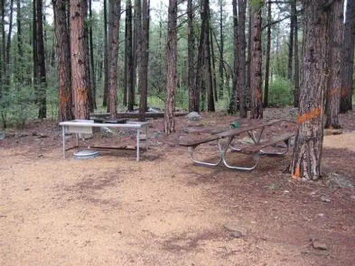 APACHE MAID CABIN photo 5