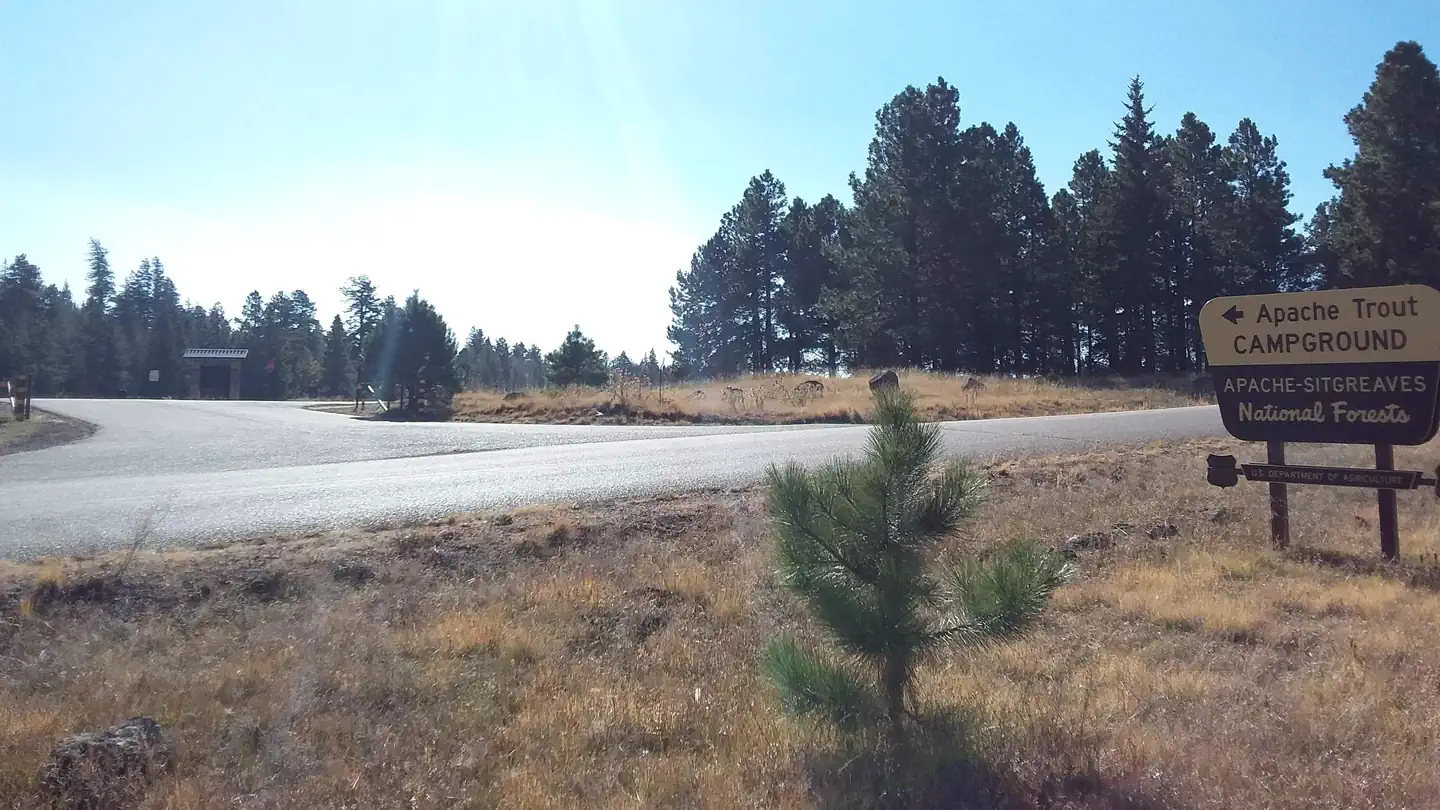 APACHE TROUT CAMPGROUND photo