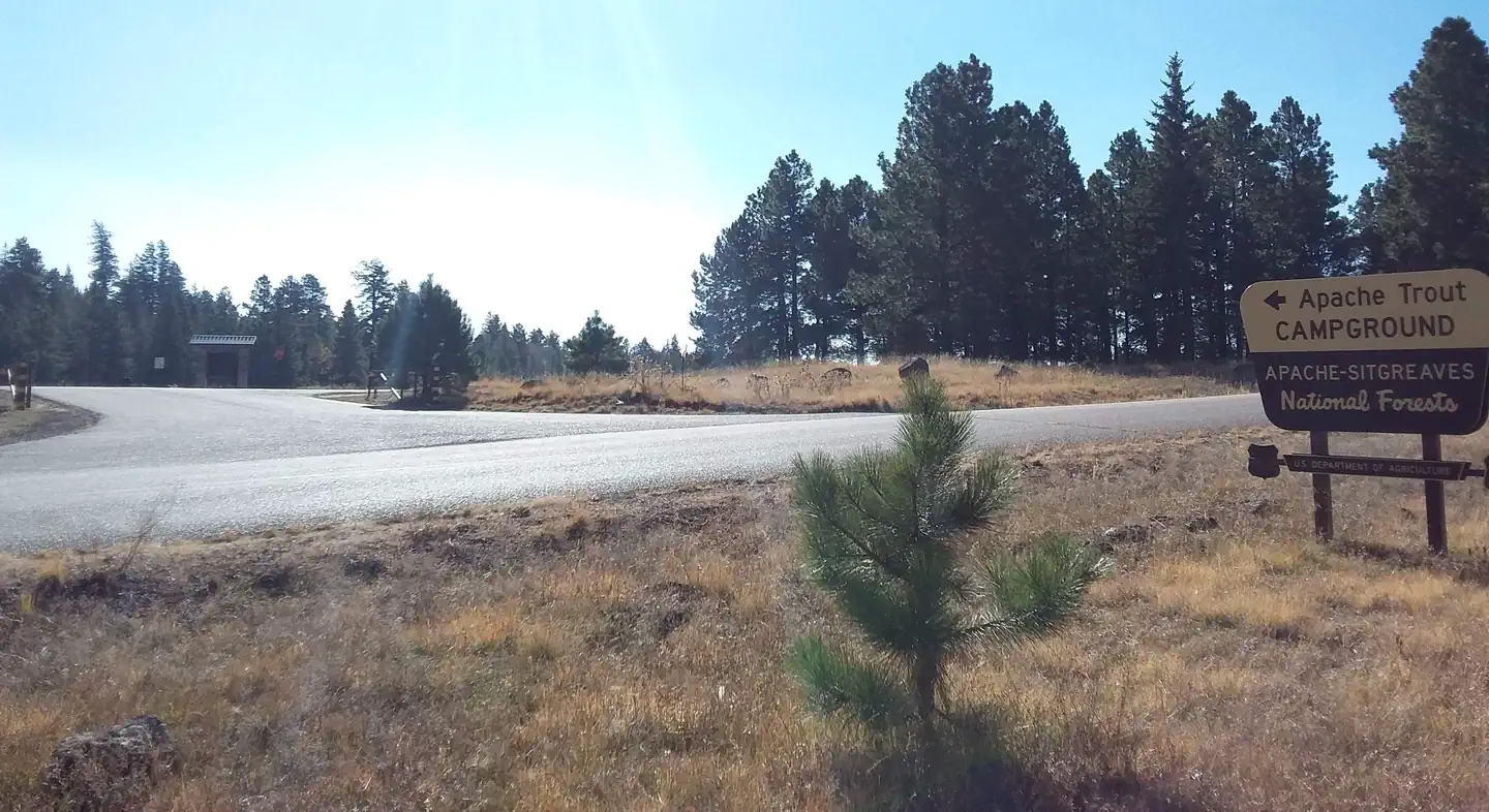 APACHE TROUT CAMPGROUND photo 3