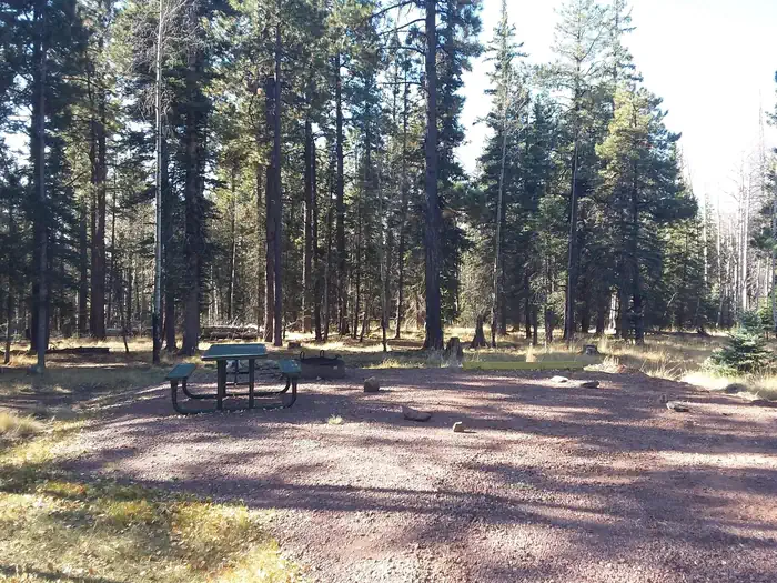 APACHE TROUT CAMPGROUND photo 5