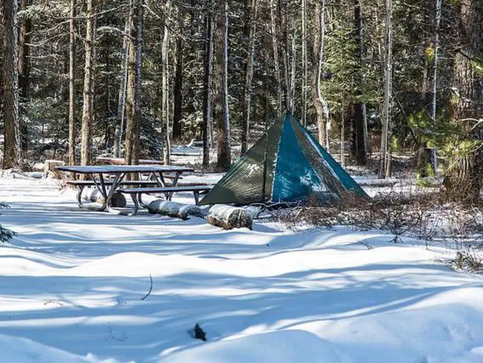 Apgar Campground photo 3