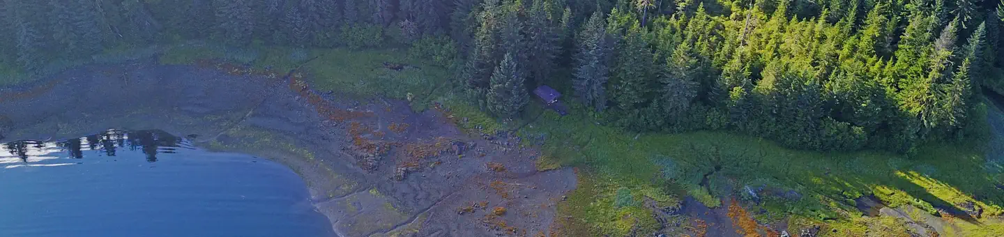 APPLETON COVE CABIN photo