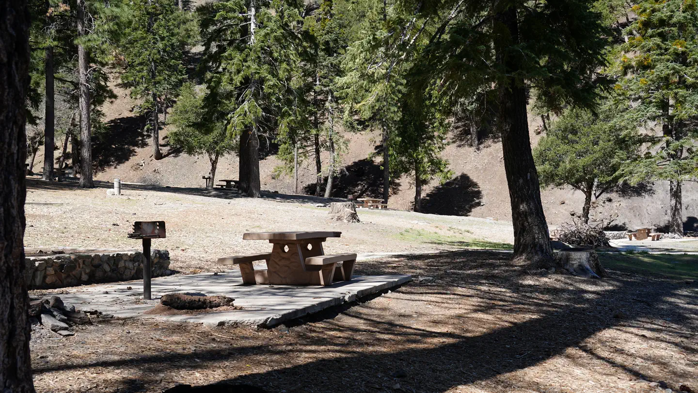 Appletree Campground photo