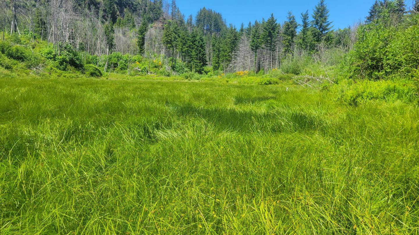 Aquila Vista Recreation Site photo
