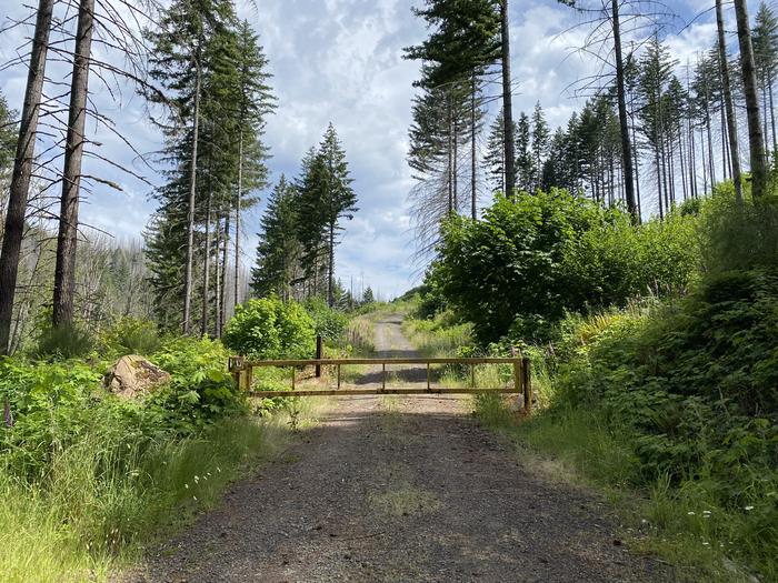 Aquila Vista Recreation Site photo 2