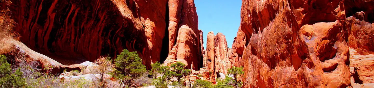 Arches National Park Tours photo