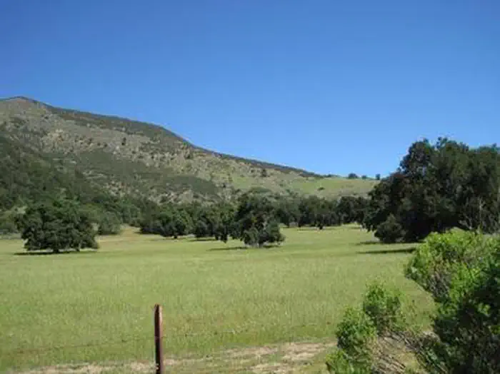 ARROYO SECO photo 5