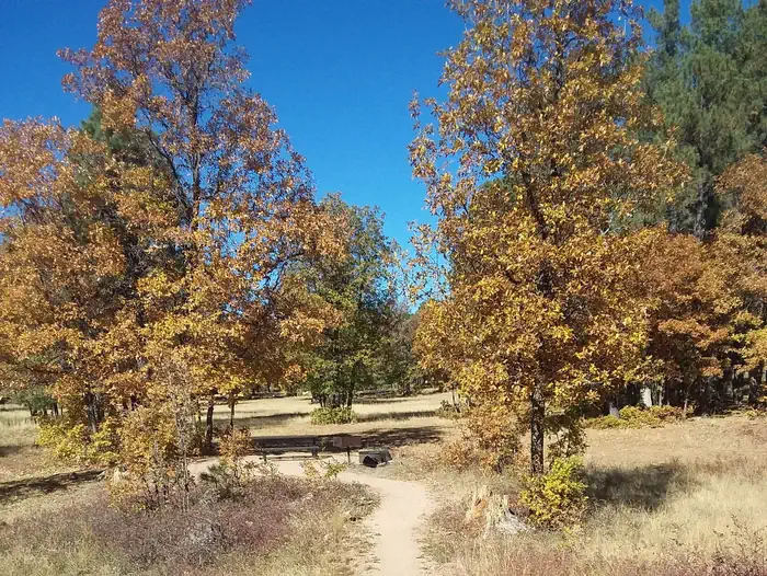 ASPEN (AZ) photo 2