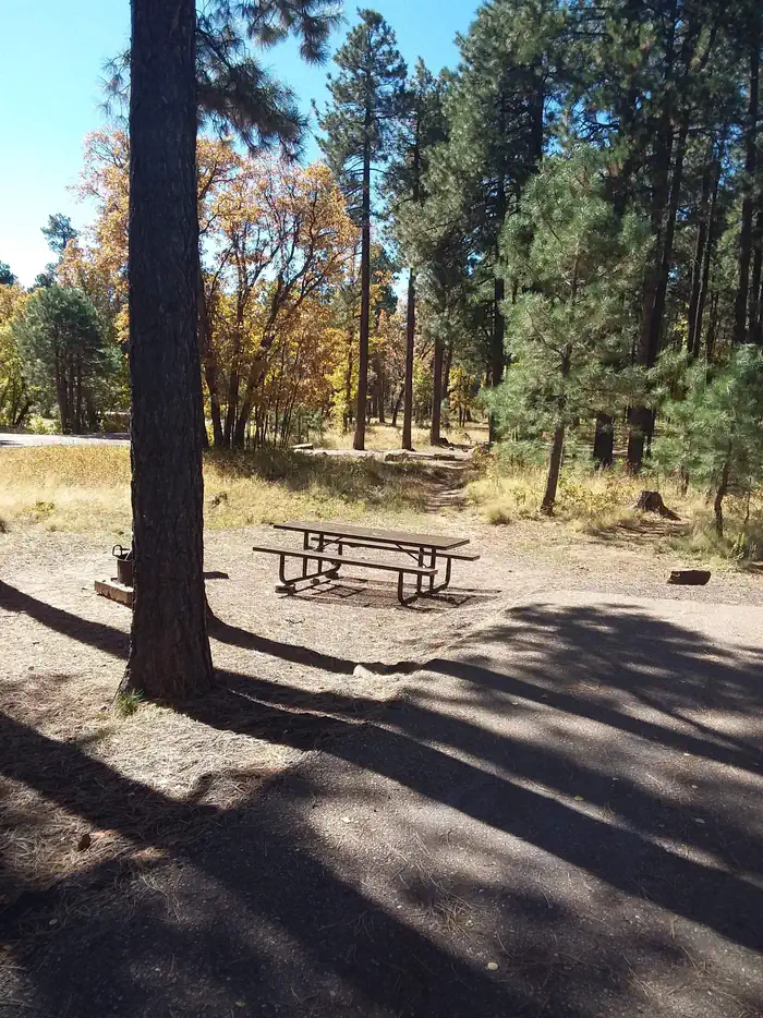 ASPEN (AZ) photo 3