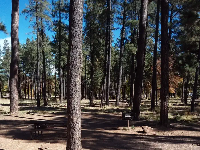ASPEN (AZ) photo 4
