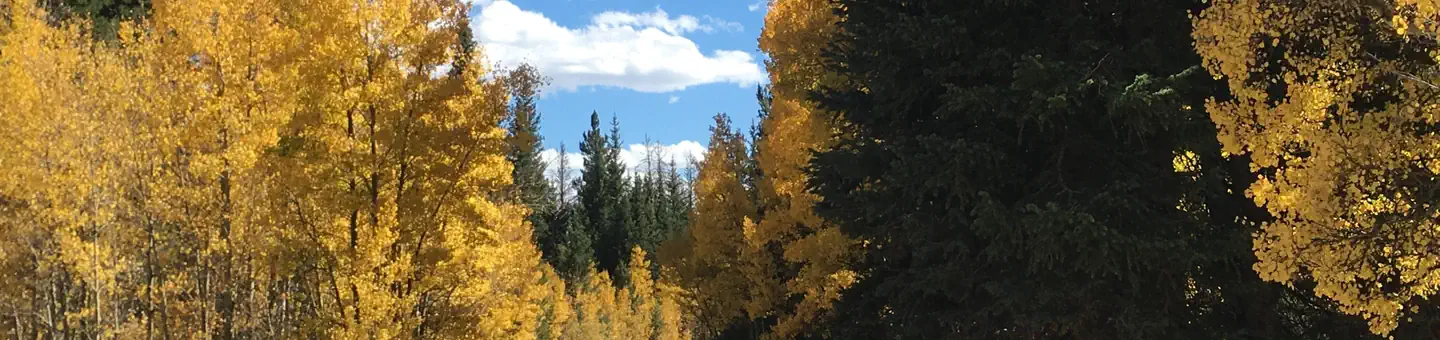 ASPEN (CO) photo