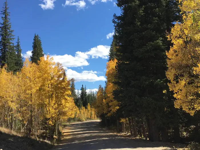 ASPEN (CO) photo 2