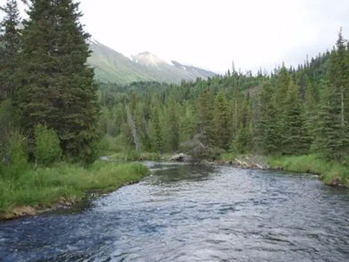 Aspen Flats Cabin (Chugach National Forest, AK) photo 3