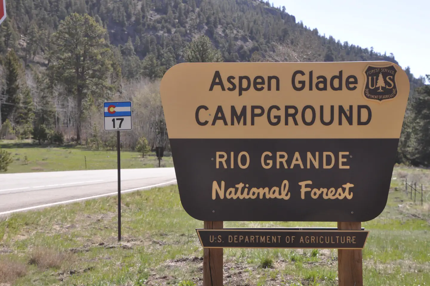 Aspen Glade (Rio Grande National Forest, CO) photo 2