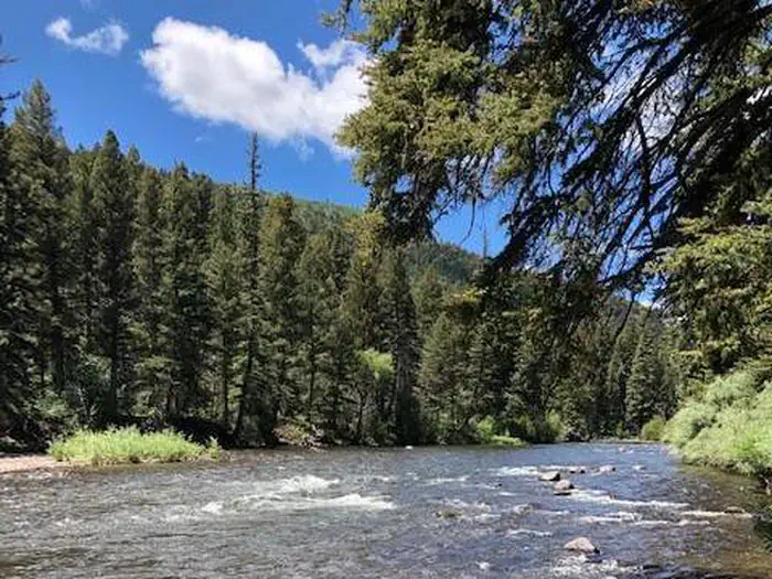 Aspen Glade (Rio Grande National Forest, CO) photo 3