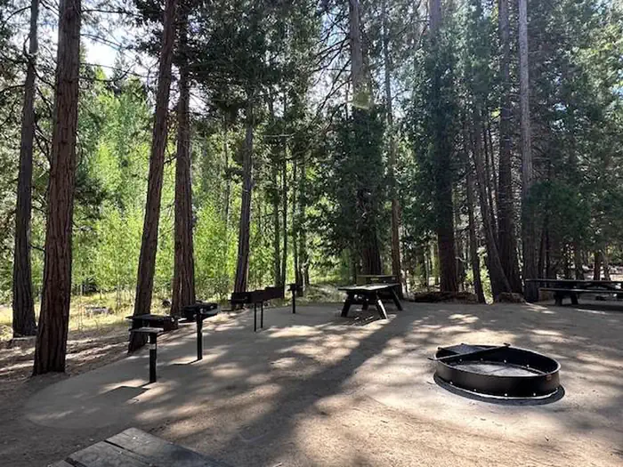 Aspen Hollow Group (Sequoia National Forest, CA) photo