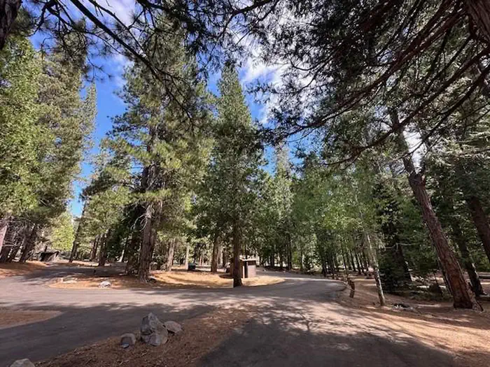 Aspen Hollow Group (Sequoia National Forest, CA) photo 2