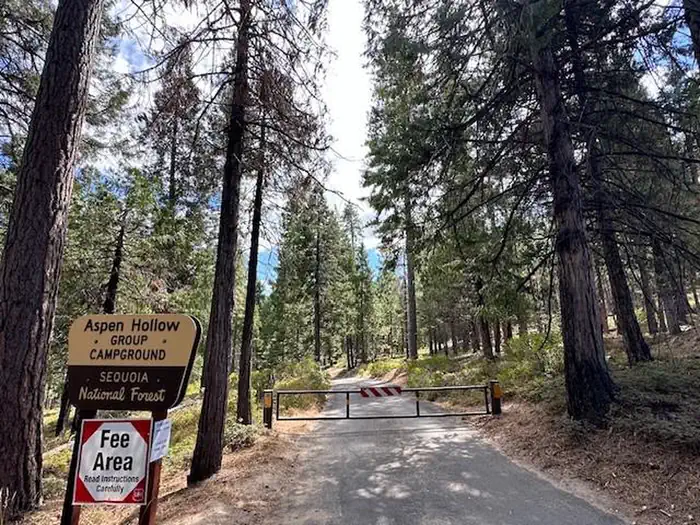Aspen Hollow Group (Sequoia National Forest, CA) photo 4