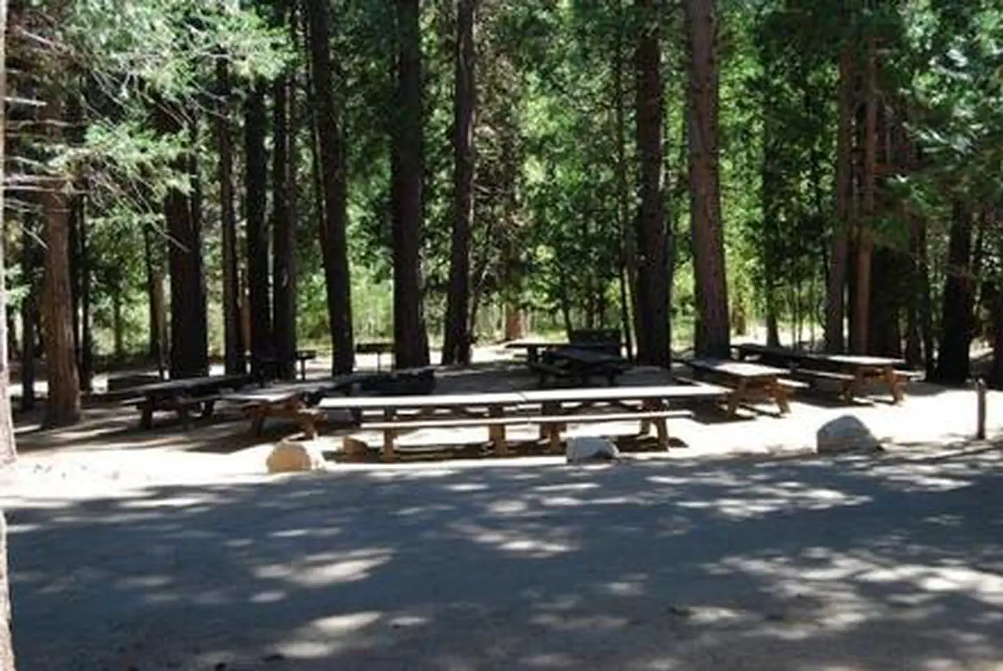 Aspen Hollow Group (Sequoia National Forest, CA) photo 5