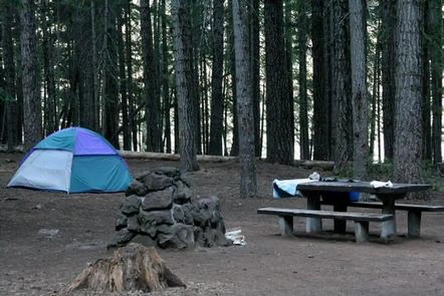 Aspen Point (Lake of the Woods, OR) photo 2
