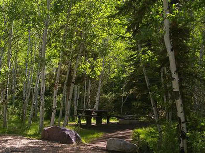 ASPEN (UT) photo 3