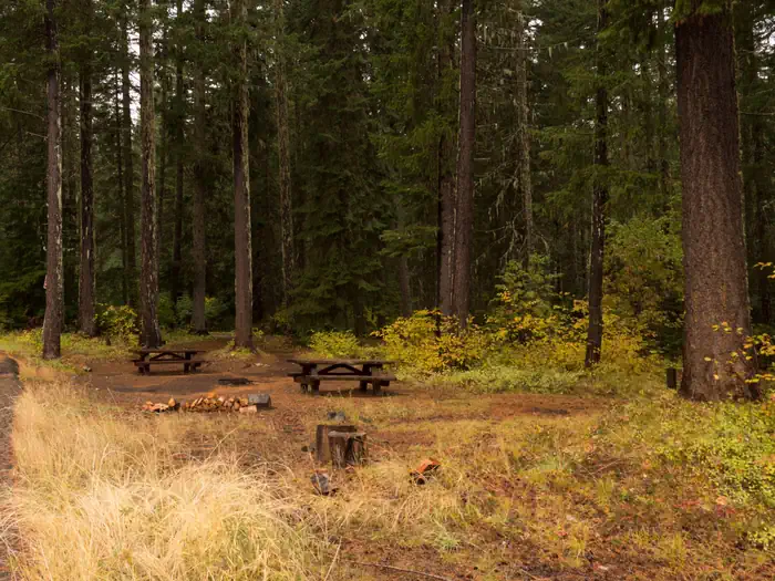 Atkisson Group camp photo 2