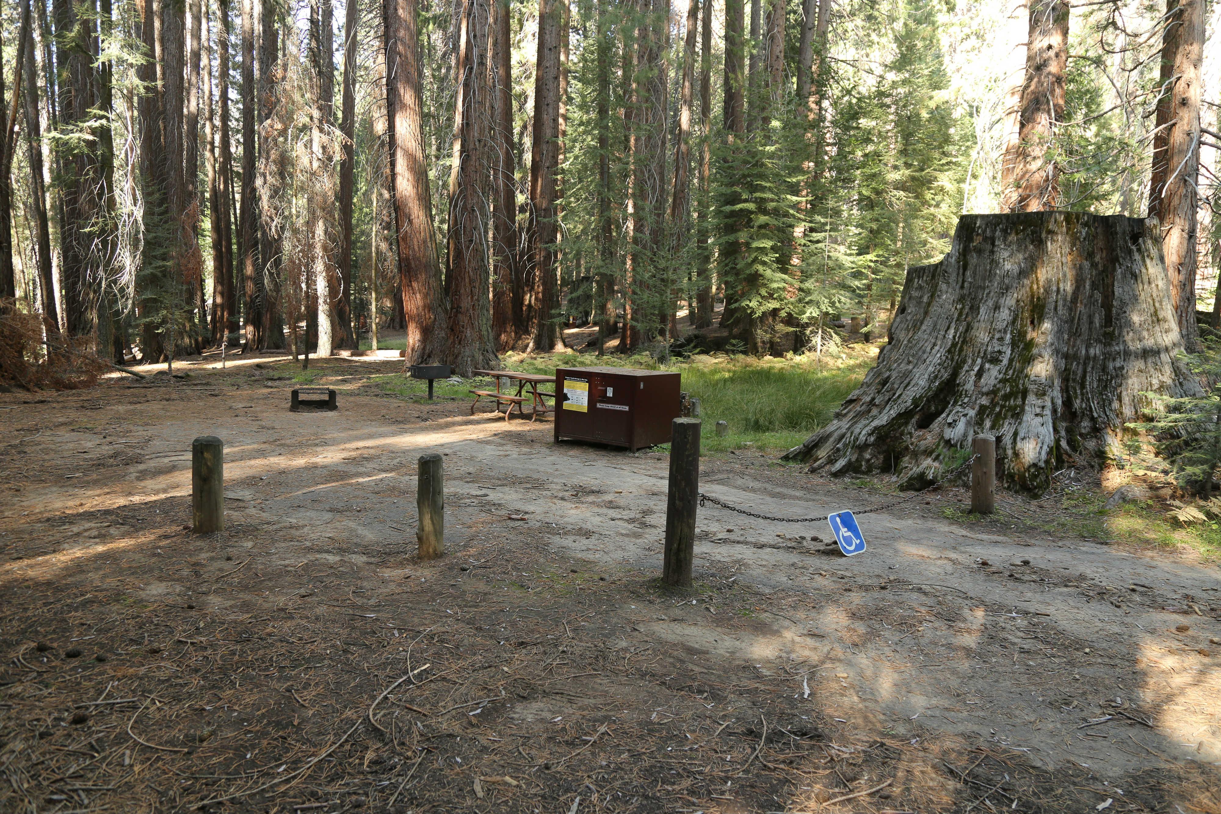 Atwell Mill Campground photo 2