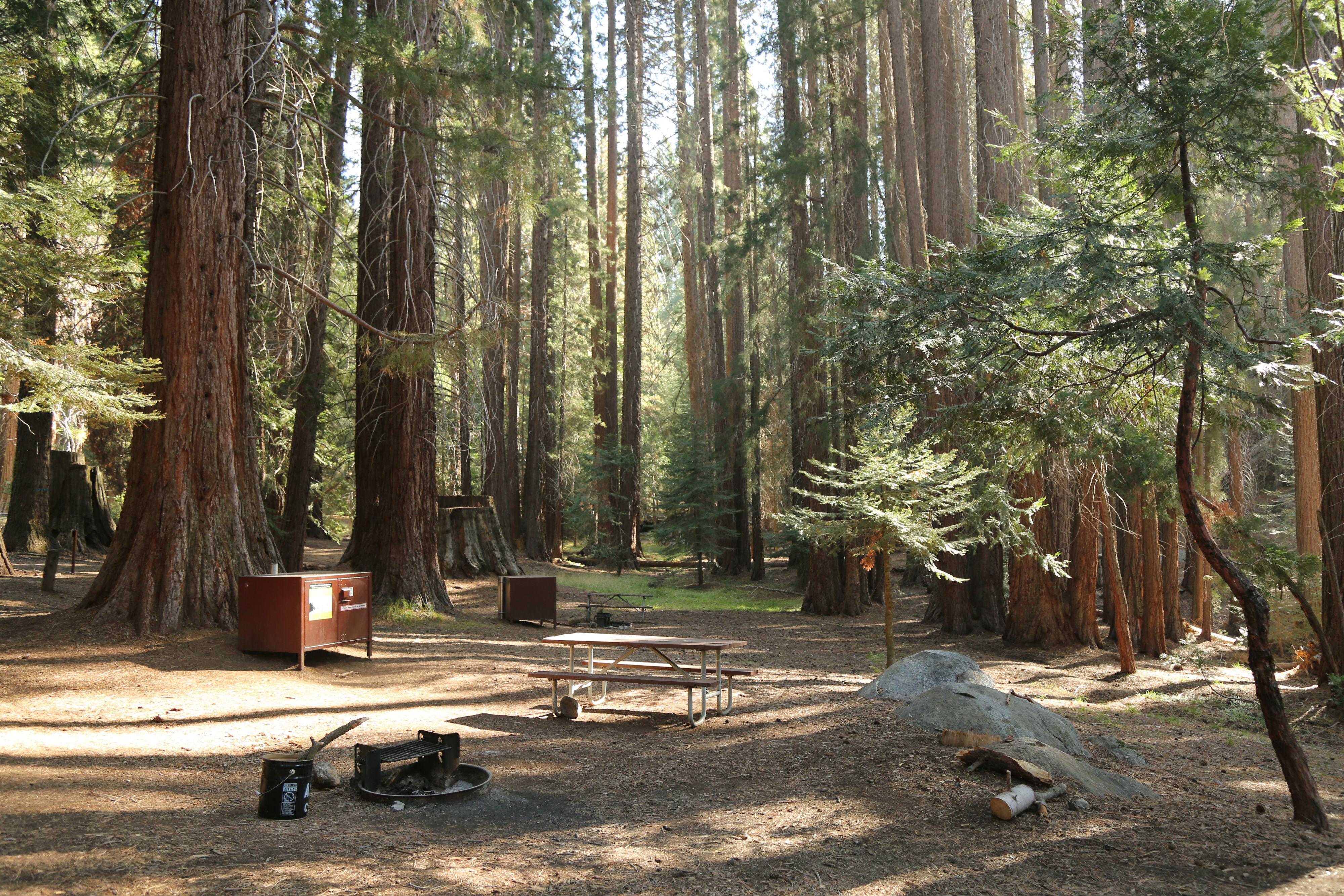 Atwell Mill Campground photo 3