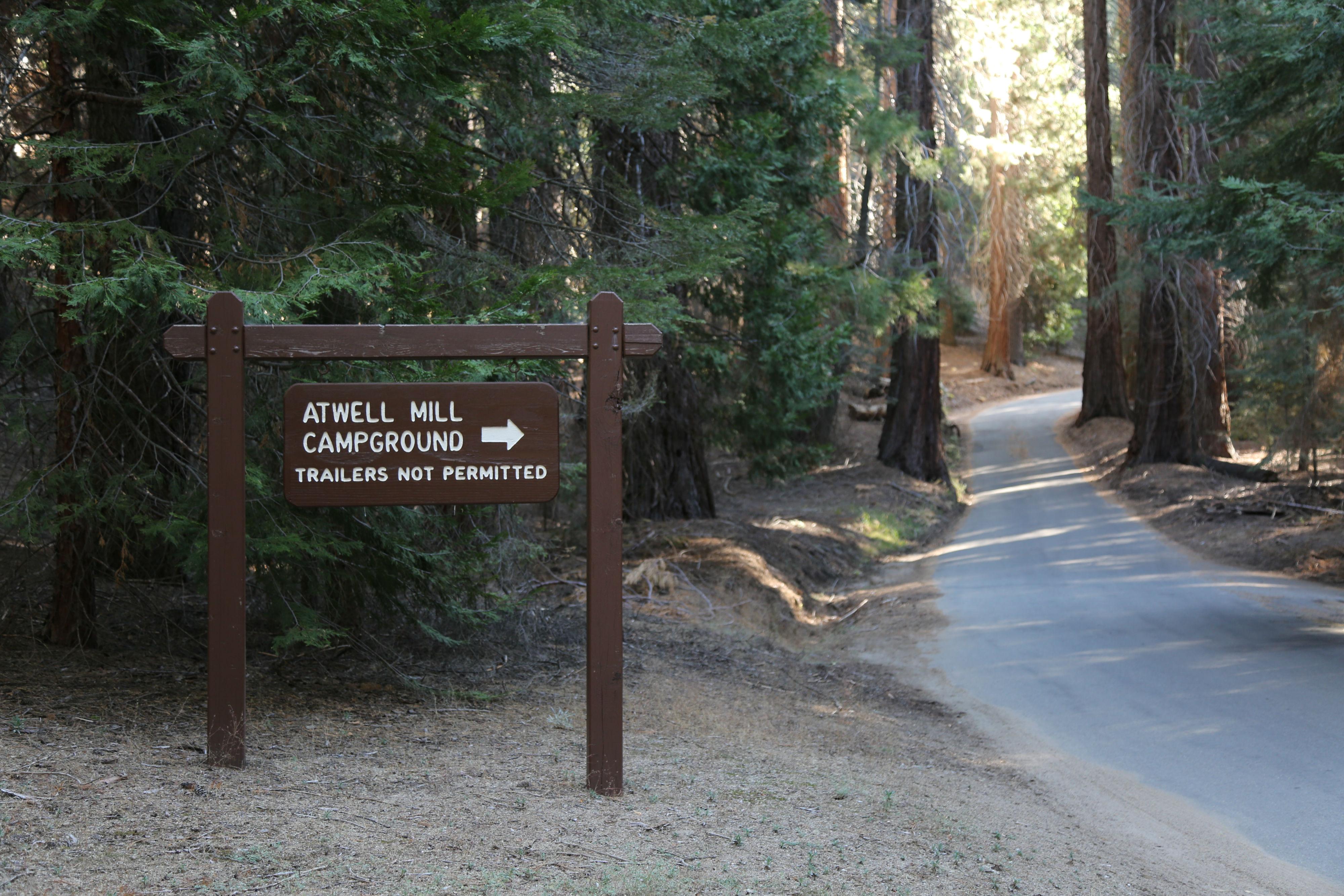 Atwell Mill Campground photo 4