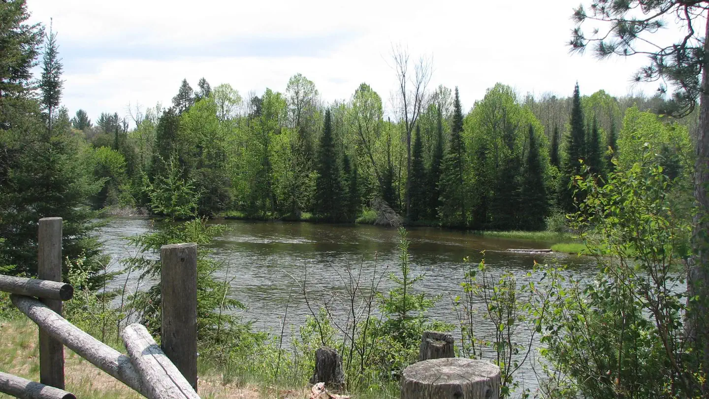 Au Sable Loop Campground photo