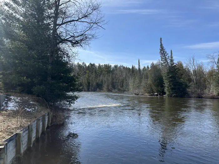Au Sable Loop Campground photo 2