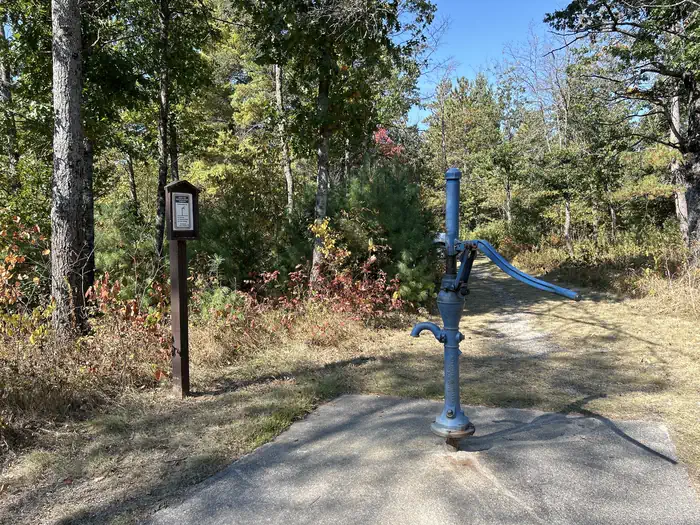 Au Sable Loop Campground photo 4