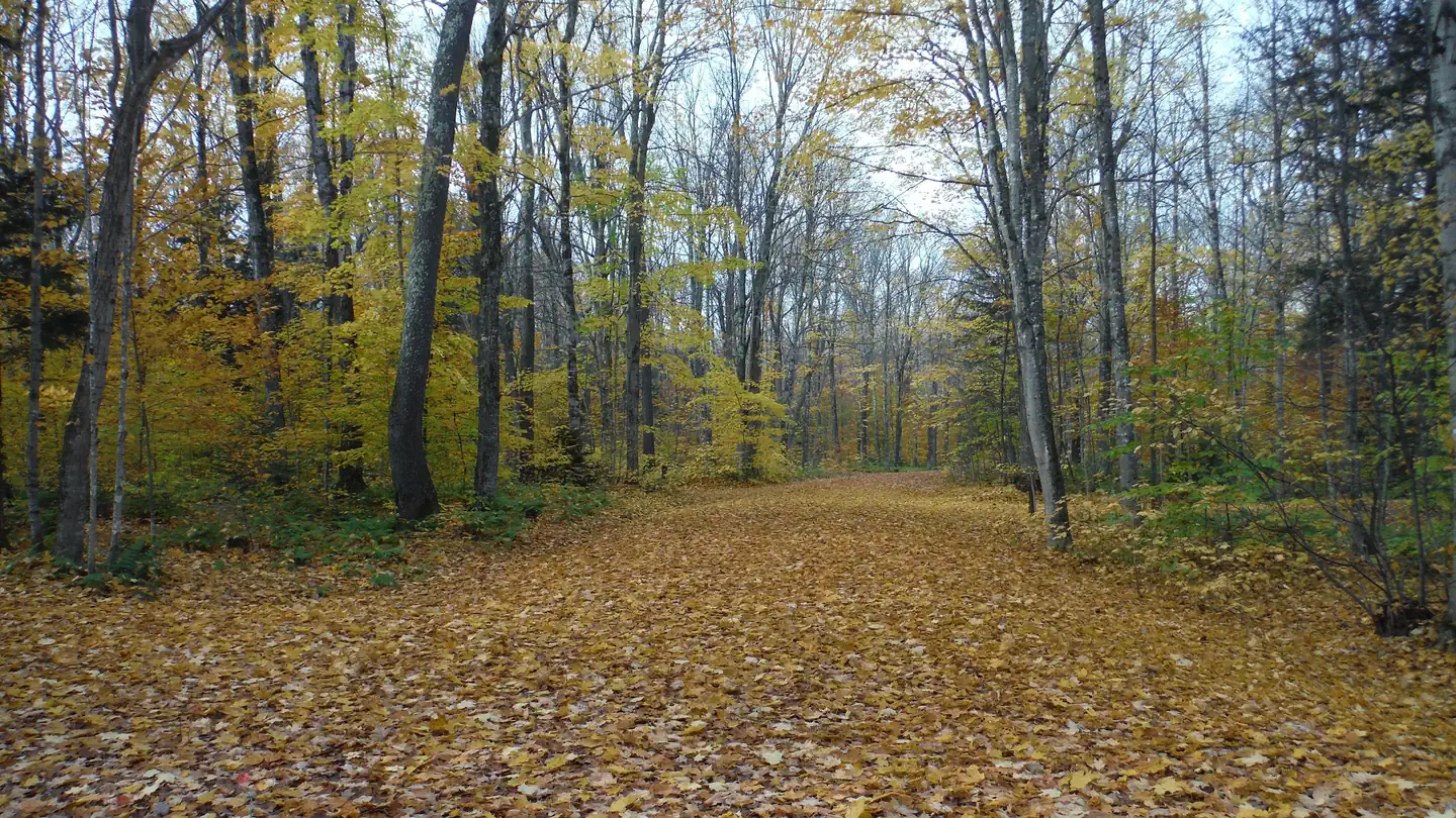 Au Train Lake Campground photo