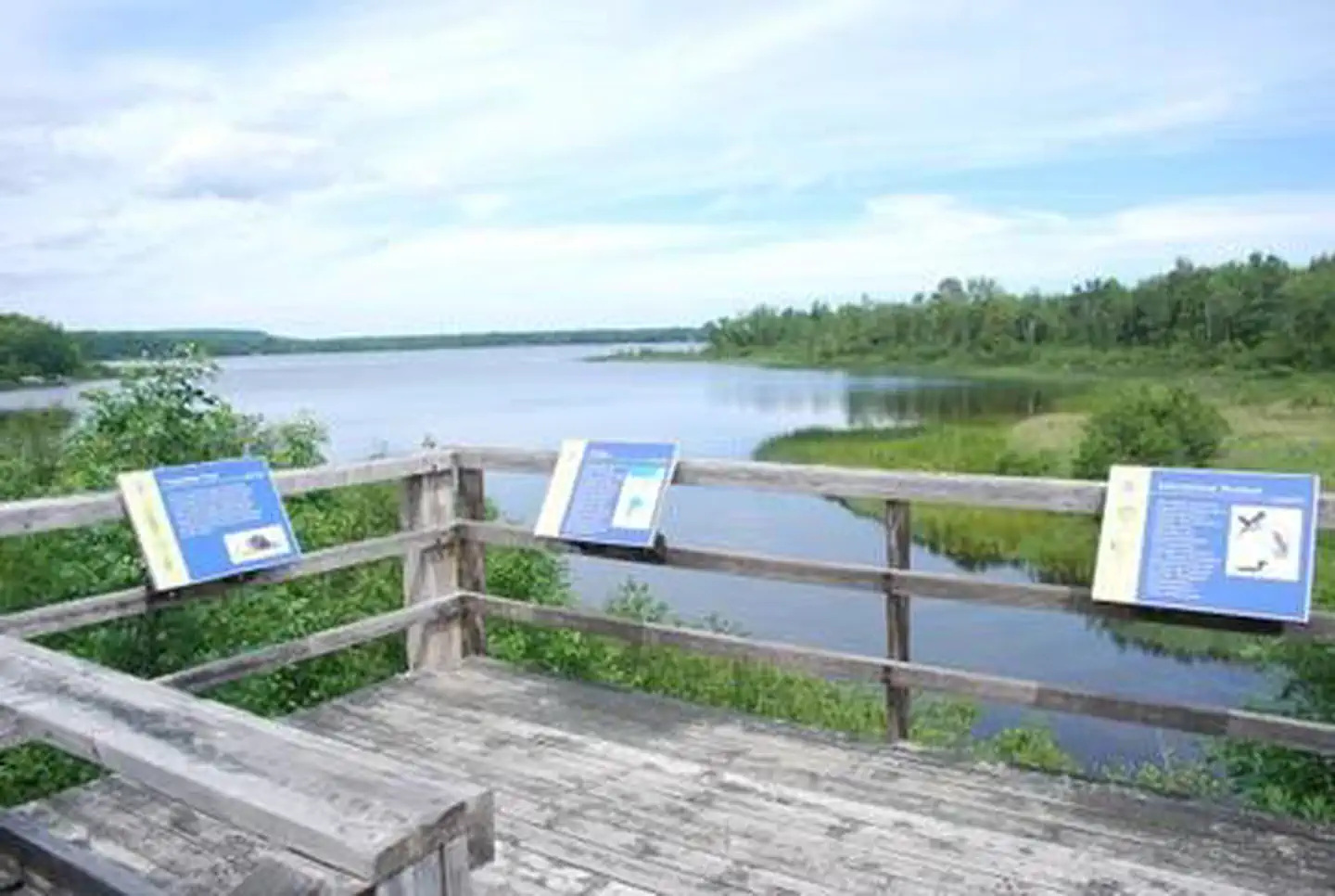 Au Train Lake Campground photo 4