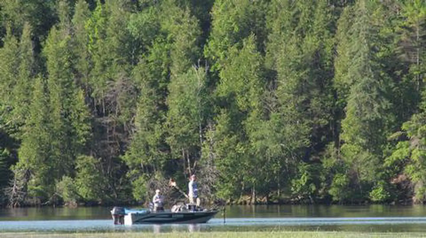 AUSABLE RIVER CAMPING photo 5