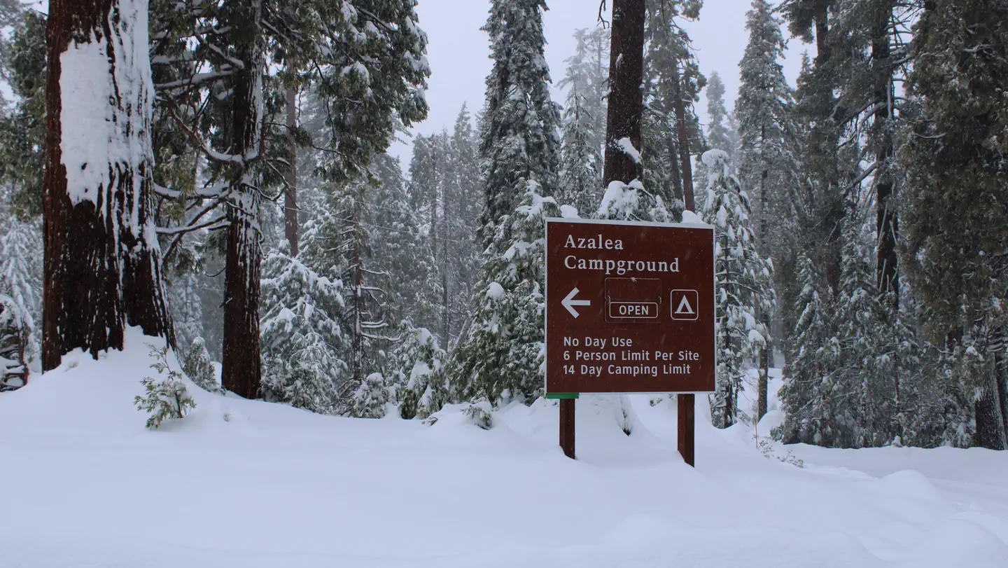Azalea Campground photo