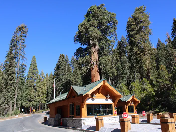 Azalea Campground photo 2
