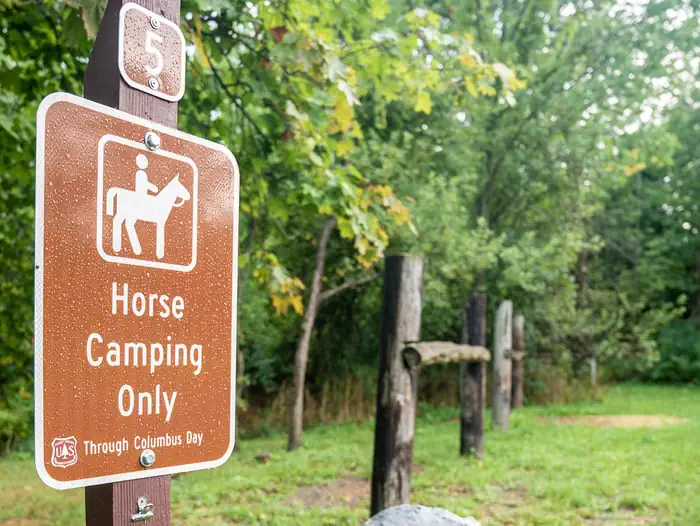 Backbone Horse Campground photo 3