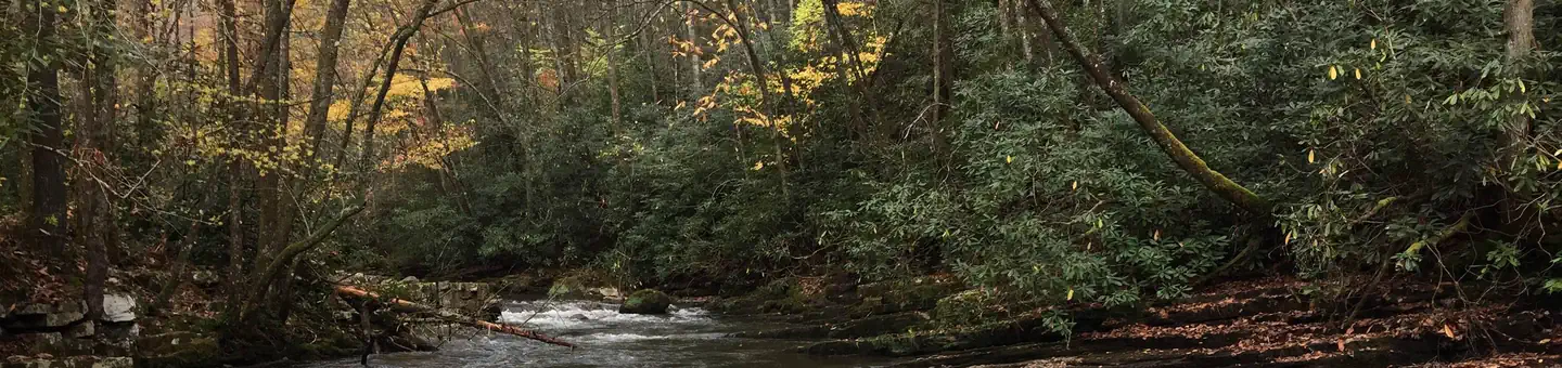BACKBONE ROCK CAMPGROUND photo