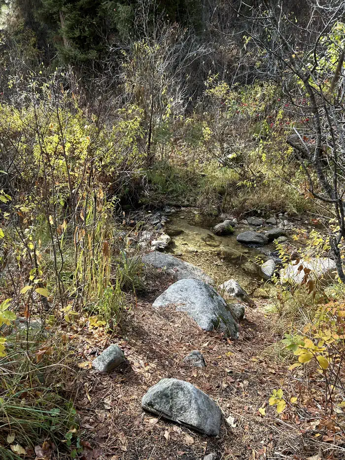BAD BEAR CAMPGROUND photo 3