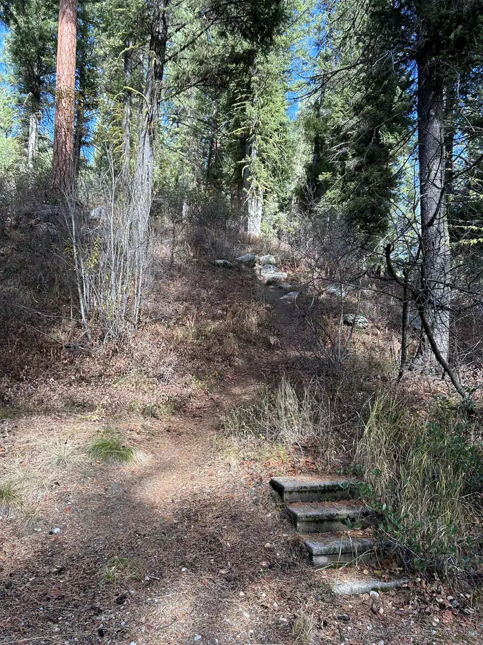 BAD BEAR CAMPGROUND photo 4