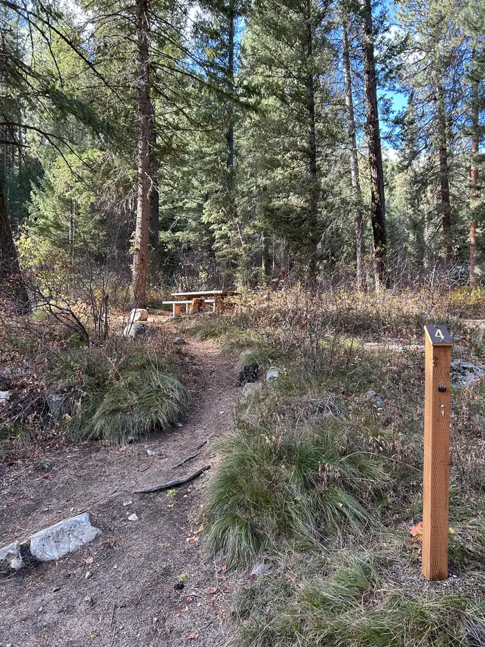 BAD BEAR CAMPGROUND photo 5