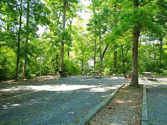 BADIN LAKE CAMPGROUND photo 2